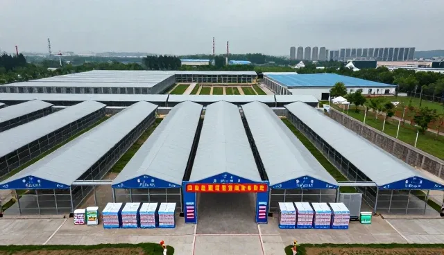 行业定制考试服务如何适应不断变化的监管环境